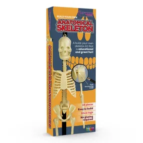 Build Your Own - Anatomical Skeleton