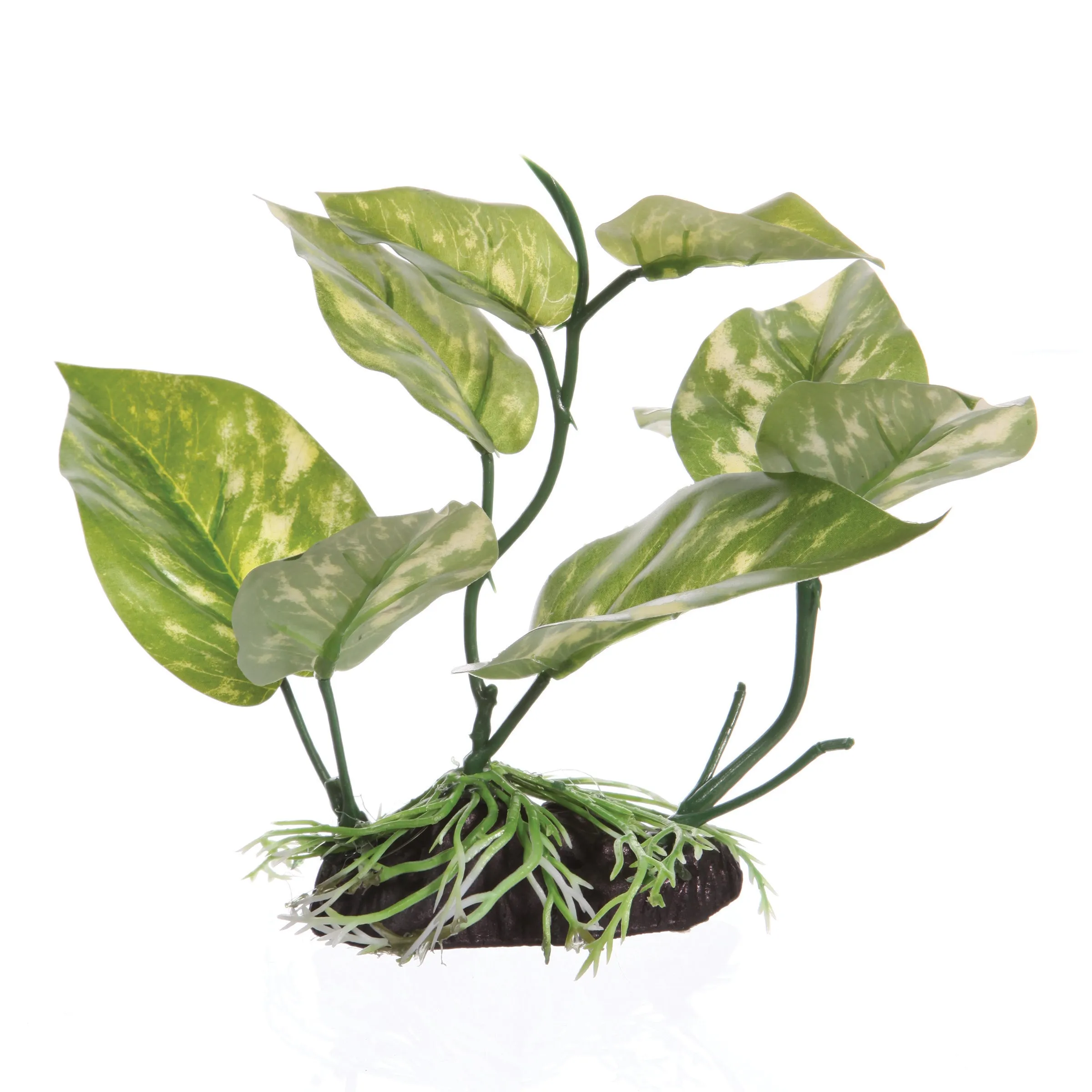 Fluval Lizard's Tail Plant Medium with Base 6.75 Inch