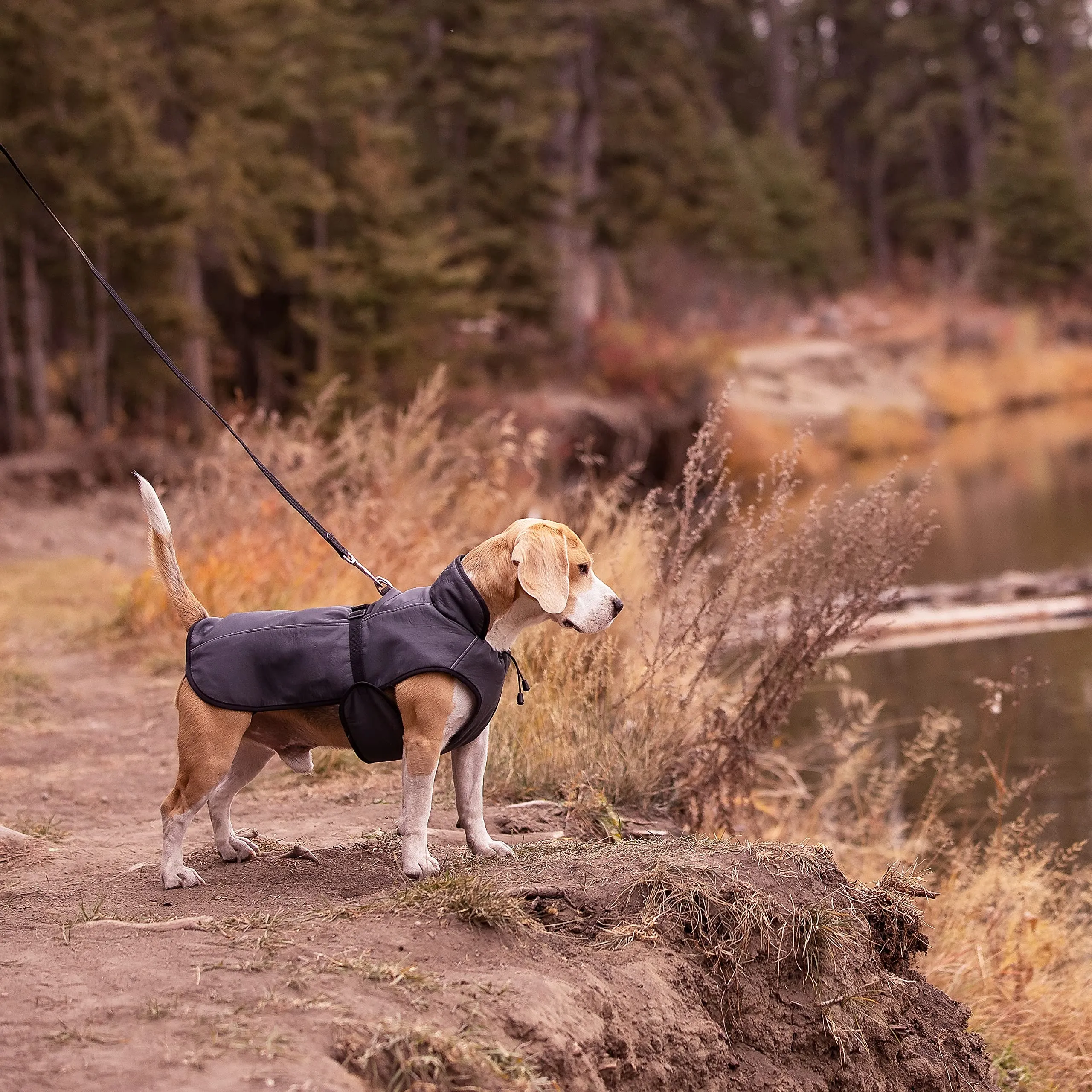 LUCOLOVE Dog Winter Coat - Waterproof Heat-Retaining Insulated Vest - Easy On/Off and Lightweight - for All Weather Conditions - Suits Very Small to Very Large Dog Breeds (S)